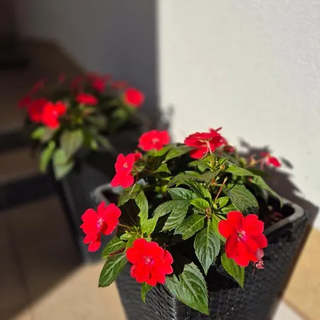 Pansion Speranza Međugorje