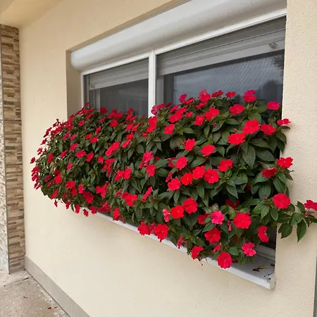 Pansion Speranza Međugorje