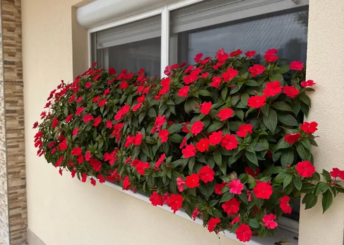 Pansion Speranza Međugorje